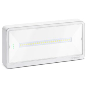 Zasilna svetilka, Exiway Light, nastavljivo trajanje, do 100 lm, IP65, LED